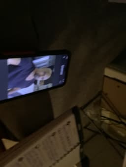 Smartphone displaying a video call - AI says Real